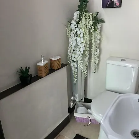 Iora Boutique * קונסטנצה